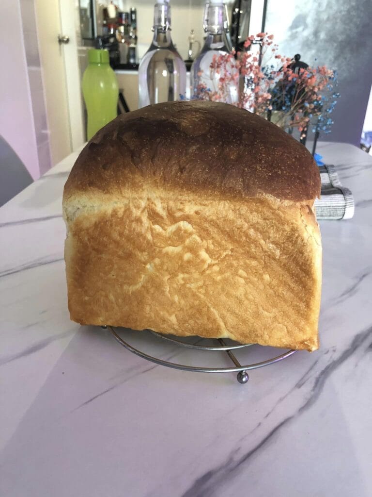 352241756 6652196271458619 4003968359520286085 n